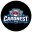 CardNest